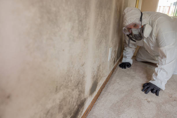 Best Industrial Mold Remediation  in Moorestown Lenola, NJ